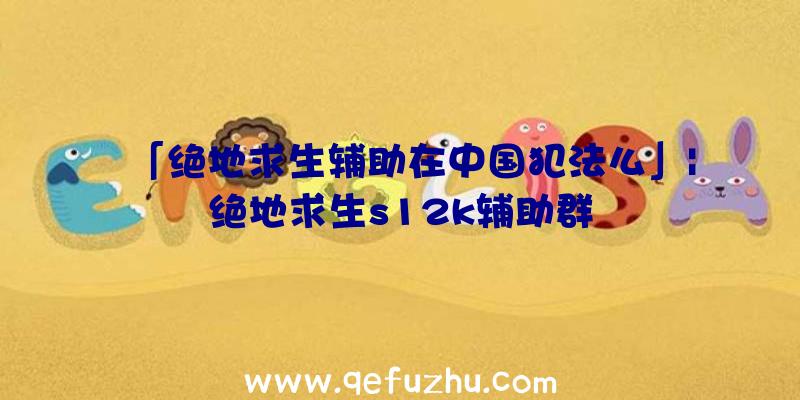 「绝地求生辅助在中国犯法么」|绝地求生s12k辅助群